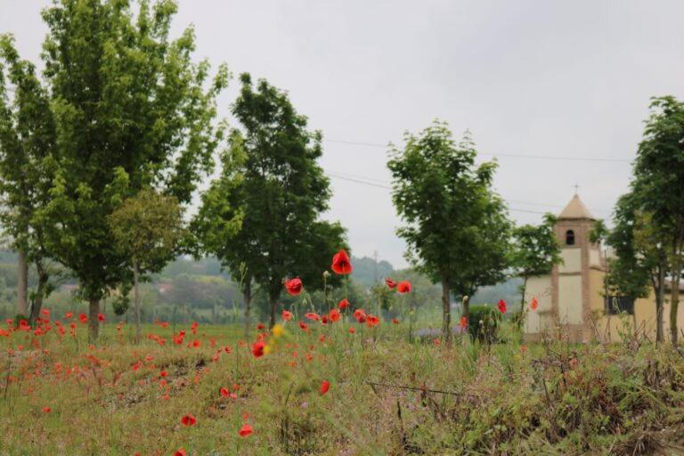 Foresto Case Vacanza Volta Mantovana Dış mekan fotoğraf